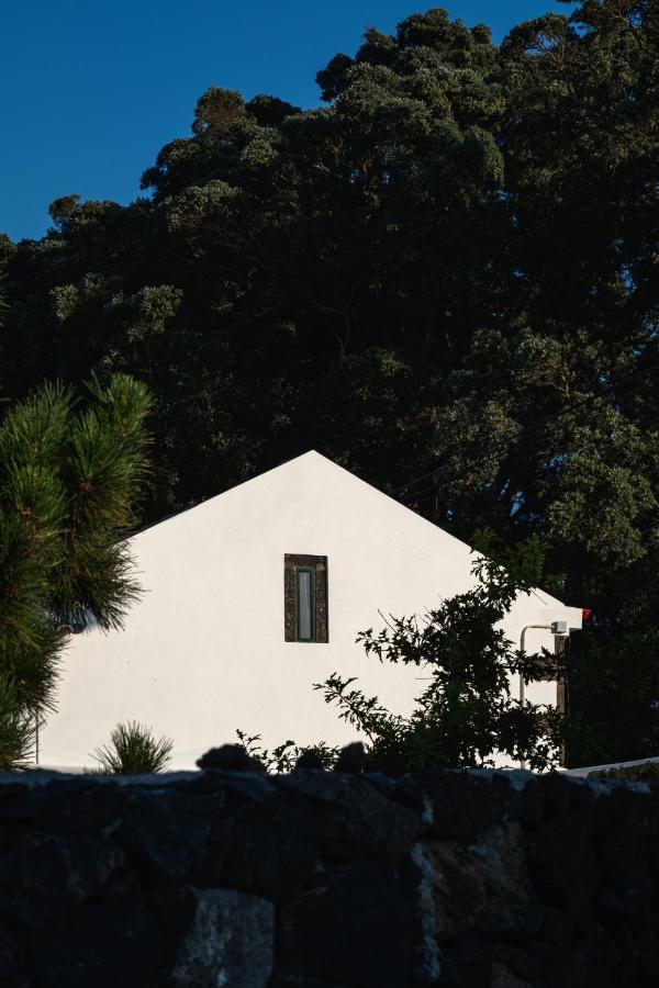 Entre Muros - Turismo Rural - Casa Com Jardim E Acesso Direto Ao Mar Рибейра-Гранди Экстерьер фото